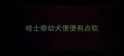 哈士奇幼犬便便有点软