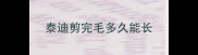 泰迪剪完毛多久能长