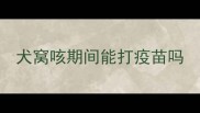 犬窝咳期间能打疫苗吗
