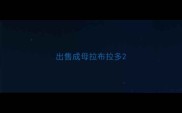 出售成母拉布拉多