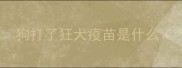 狗打了狂犬疫苗是什么