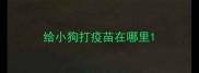 给小狗打疫苗在哪里