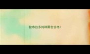 拉布拉多纯种黑色价格
