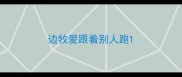 边牧爱跟着别人跑