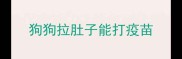 狗狗拉肚子能打疫苗