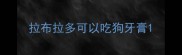 拉布拉多可以吃狗牙膏