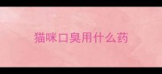 猫咪口臭用什么药