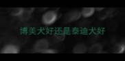 博美犬好还是泰迪犬好