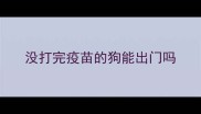 没打完疫苗的狗能出门吗