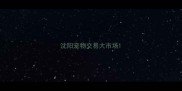 沈阳宠物交易大市场