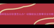 猫咪驱虫后软便怎么办幼猫驱虫注意事项全攻略