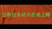 拉布拉多幼大在地上睡