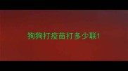 狗狗打疫苗打多少联