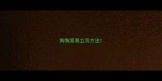 狗狗简易立耳方法