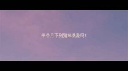 半个月不到猫咪洗澡吗