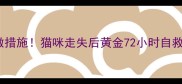 10个必做措施猫咪走失后黄金72小时自救指南