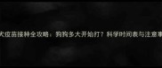 幼犬疫苗接种全攻略狗狗多大开始打科学时间表与注意事项