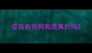 疫苗有假狗狗是真的吗