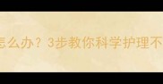 小狗伤口被舔了怎么办3步教你科学护理不复发附真实案例