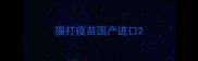 猫打疫苗国产进口