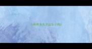 小狗养多久才以生小狗