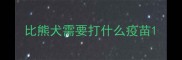 比熊犬需要打什么疫苗