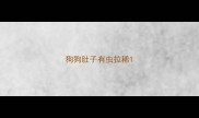 狗狗肚子有虫拉稀