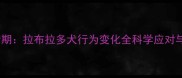 导盲犬发情期拉布拉多犬行为变化全科学应对与训练指南