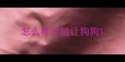 怎么样才能让狗狗