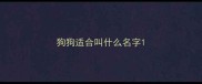 狗狗适合叫什么名字