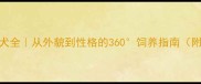 金毛寻回犬全从外貌到性格的360饲养指南附对比图