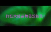 打狂犬疫苗棉签没按住
