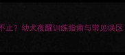 一个月大泰迪犬夜啼不止幼犬夜醒训练指南与常见误区附科学养护方案