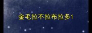 金毛拉不拉布拉多