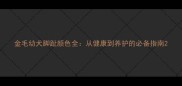 金毛幼犬脚趾颜色全从健康到养护的必备指南