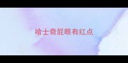 哈士奇屁眼有红点