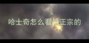 哈士奇怎么看是正宗的