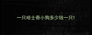 一只哈士奇小狗多少钱一只