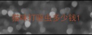 猫咪打驱虫多少钱
