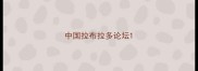 中国拉布拉多论坛