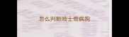 怎么判断哈士奇病狗