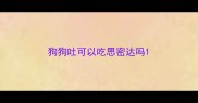 狗狗吐可以吃思密达吗