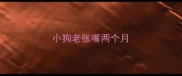 小狗老张嘴两个月