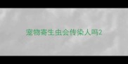 宠物寄生虫会传染人吗