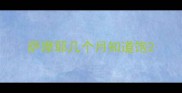 萨摩耶几个月知道饱