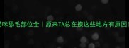 猫咪舔毛部位全原来TA总在摸这些地方有原因