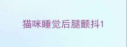 猫咪睡觉后腿颤抖
