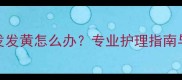 金毛犬毛发发黄怎么办专业护理指南与常见误区