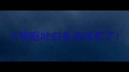 小狗呕吐白色泡沫死了