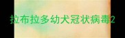 拉布拉多幼犬冠状病毒